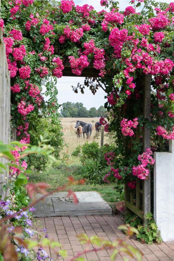 Villa Verde Oesterlen Glemminge Esterno foto