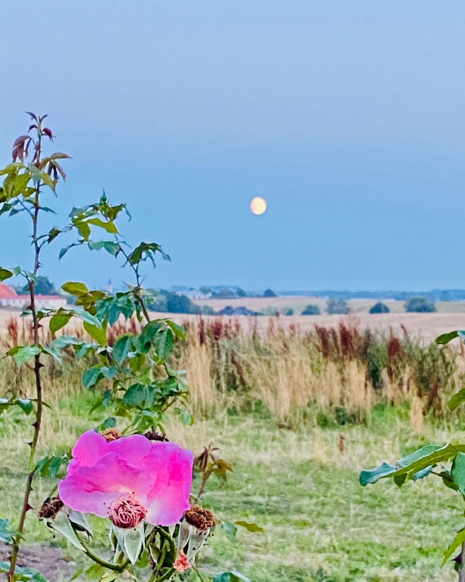 Villa Verde Oesterlen Glemminge Esterno foto